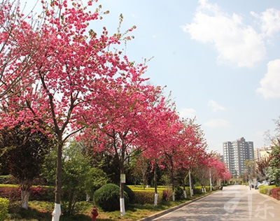 新沂市職業(yè)技術(shù)教育中心